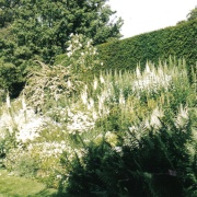Photo of Brook Cottage Gardens, Alkerton