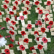 St Peters Square, Manchester. Rememberance Sunday