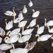 Photo of New Tavern Fort