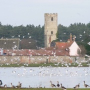Photo of Great Livermere
