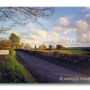 Photo of Buckland in the Moor