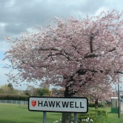 Photo of Hawkwell