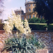 Photo of Belvoir Castle