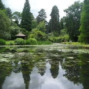 Photo of Tatton Park