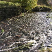 Photo of Allendale Town