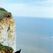 Photo of Eastbourne