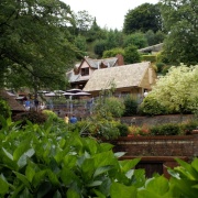 Photo of Watermouth Castle