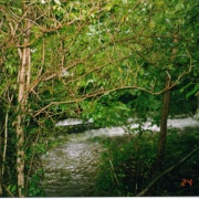 Photo of Thornton-le-Dale