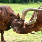 Photo of Colden Common