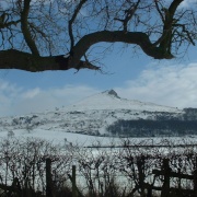 Photo of Newton under Roseberry