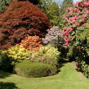 Photo of Stody Lodge Gardens