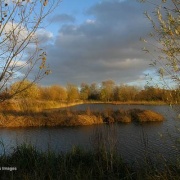 Photo of London Wetland Centre