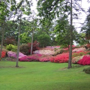 Photo of Valley Gardens