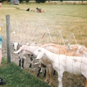 Photo of The White Post Farm Centre