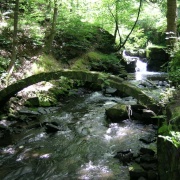 Photo of Healey Dell