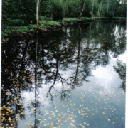 Photo of Holkham Hall