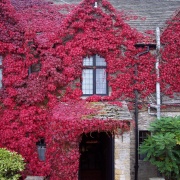 Photo of Steeple Aston