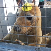 Photo of Port Gaverne