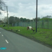 Photo of Gringley on the Hill