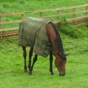 Photo of Chesters Roman Fort (Cilvrnvm)