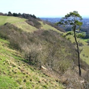 Photo of Reigate