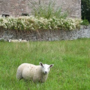 Photo of Huntingtower Castle