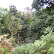 Photo of Castle Campbell