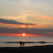 Photo of Hand in Hand