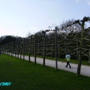Photo of Rufford Abbey