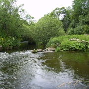 Photo of Miller's Dale Village