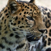 Photo of Marwell Zoological Park