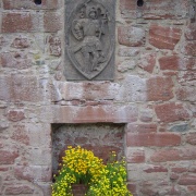 Photo of Edzell Castle Pleasance