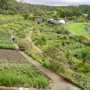 Photo of Inverewe Gardens