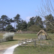 Photo of West Stow Country Park