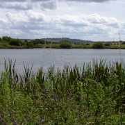 Photo of Carr Vale Nature Reserve