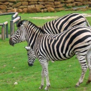 Photo of Kessingland