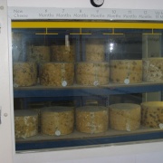Photo of Cheddar Gorge Cheese Co.