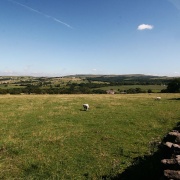 Photo of Abbey Village