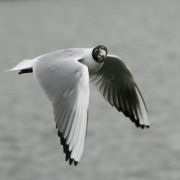 Are you looking at me?