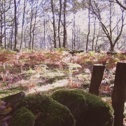 Photo of Newby Bridge