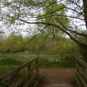 Photo of Woods Mill Nature Reserve