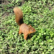 Photo of Wallington Hall