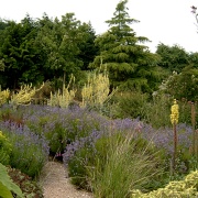 Photo of Plant World