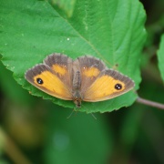 Photo of Congerstone