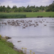Photo of Wintersett