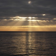 Photo of wirelesswafflers favourites vol 1