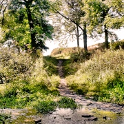 Photo of Chaldon Herring or East Chaldon