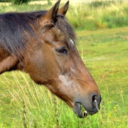 Photo of South Dalton