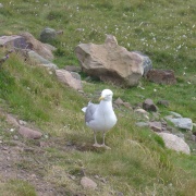 Photo of Stoer Head (Ru Stoer) Lighthouse