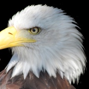 Photo of Attleborough